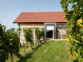 Weinberg Lodge Klöch