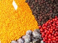 Stand: Romania, ANUGA ORGANIC, Halle 5.1, Test 1