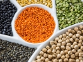 Stand: ALLIANCE ZONE, ANUGA FINE FOOD, Halle 11.2