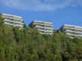 panoramahillsidecrop