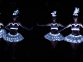 bb1235B1235B