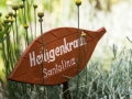 WA_160622_ROOMS_OTHERS_LR0301-Heiligenkraut