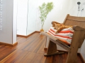 bb1235B1235B
