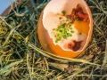 stiar-rezept-geroesteter-knoedel