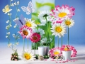 bb1235B1235B