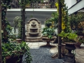 Grand_Ferdinand_Oasis_Garden_1