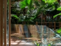 Bamboo-with-tropical-garden