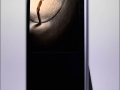 bb1235B1235B