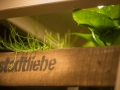 Stadtliebe8
