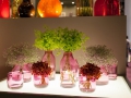 tendence_living
