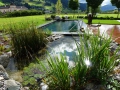 Naturpool01_web