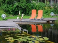 Schwimmteich01_web