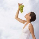 Vinoble Cosmetics – Einklang von Natur und Wissenschaft