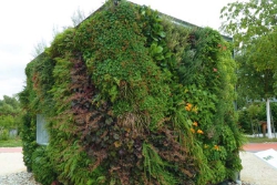 90deGREEN – Garten für die Wand: energieeffizient & wunderschön!