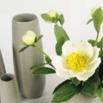 ASA Selection – Elegantes Grau auf schlichter Form