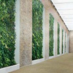 Interface – Natur für den urbanen Raum