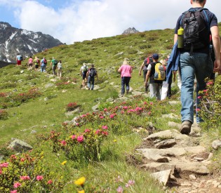 Kulinarischer Jakobsweg