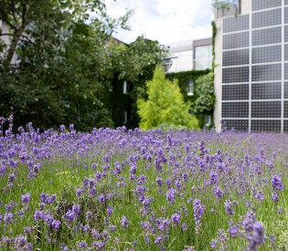 Energieeffizienz