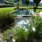 Schwimmteich und Naturpools im Herbst