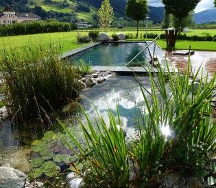 Schwimmteich und Naturpools im Herbst