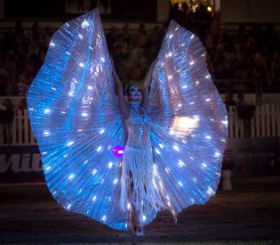 CIRQUE NOUVEL