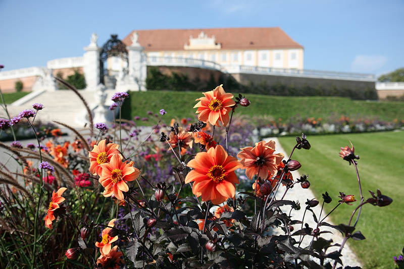 Schloss Hof