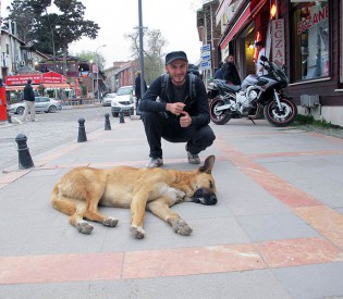 „How I miss Bucharest or The Journey of a Dog’s Life“