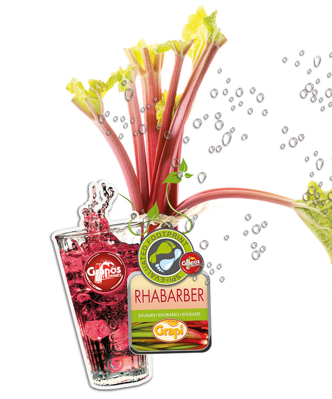 PR_PIC_GR_Rhabarber03