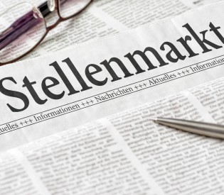 Kompetent in Recherche und Text?