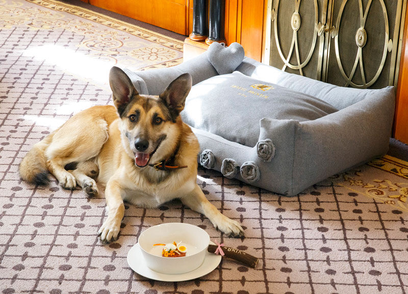Hotel_Bristol_Hunde