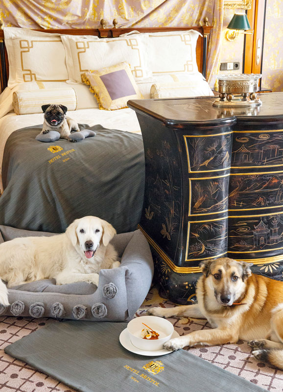 Hotel_Bristol_Pet_Programm