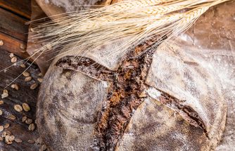 Slow Food Reise nach Kärnten