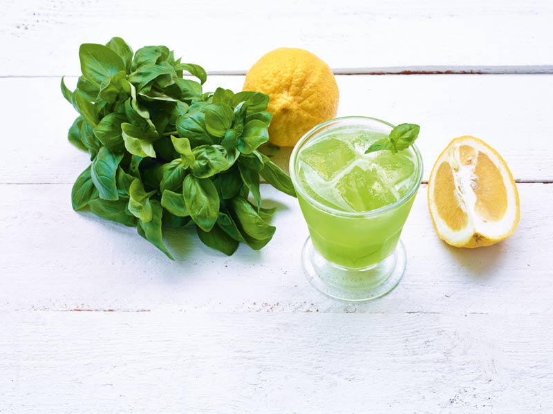 Gin_Basil_Smash BioBar Gin_Basil_Smash_Blumberg_BioBar