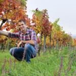 Veganer Wein – Weinbau Fürnkranz