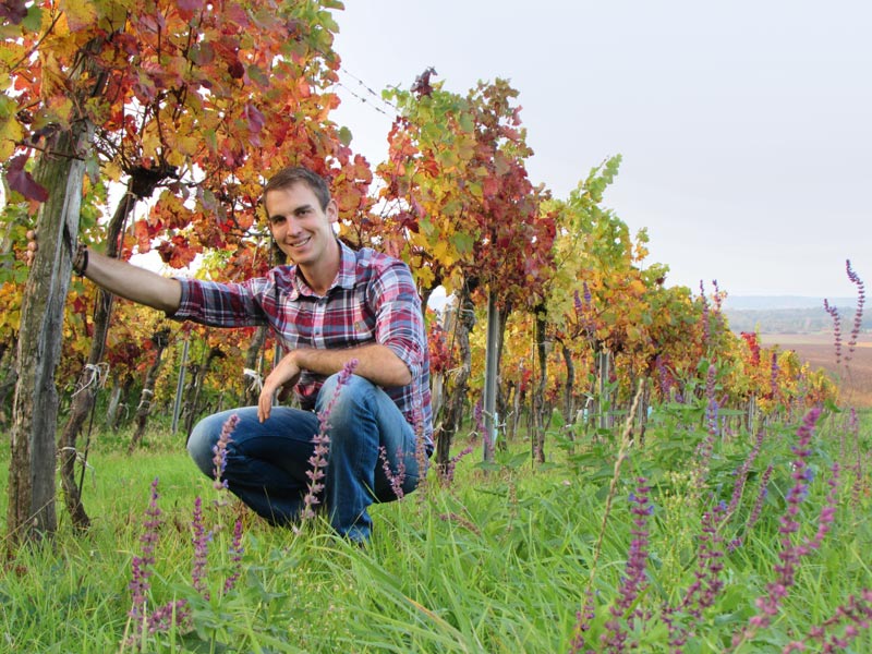 Vegan_wein_Fuernkranz_1