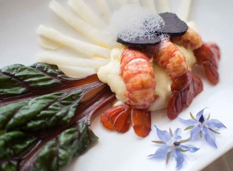Flusskrebsschwänze, Kohrabi, Mangold, Erdäpfelcreme