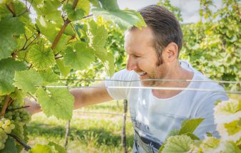 VINEUS Wine Culture Award Bewerbungsphase