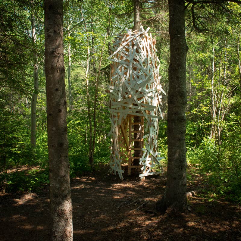 Nest um Baum gewickelt