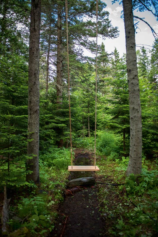 Schaukel Wald