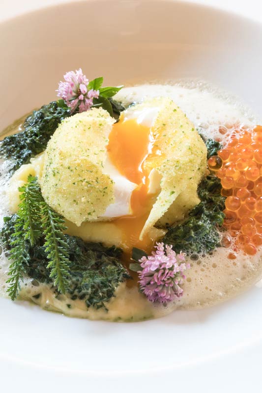 gebackenes Ei auf Kartoffelpuerree
