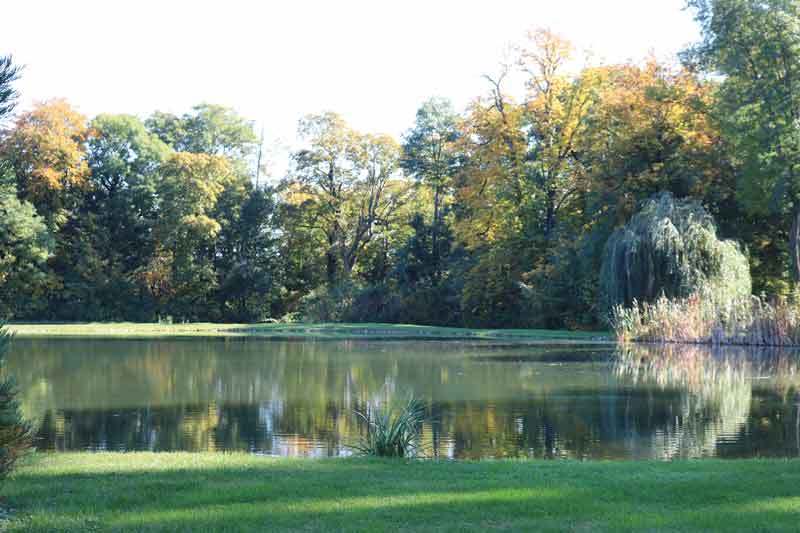 TeichDornau