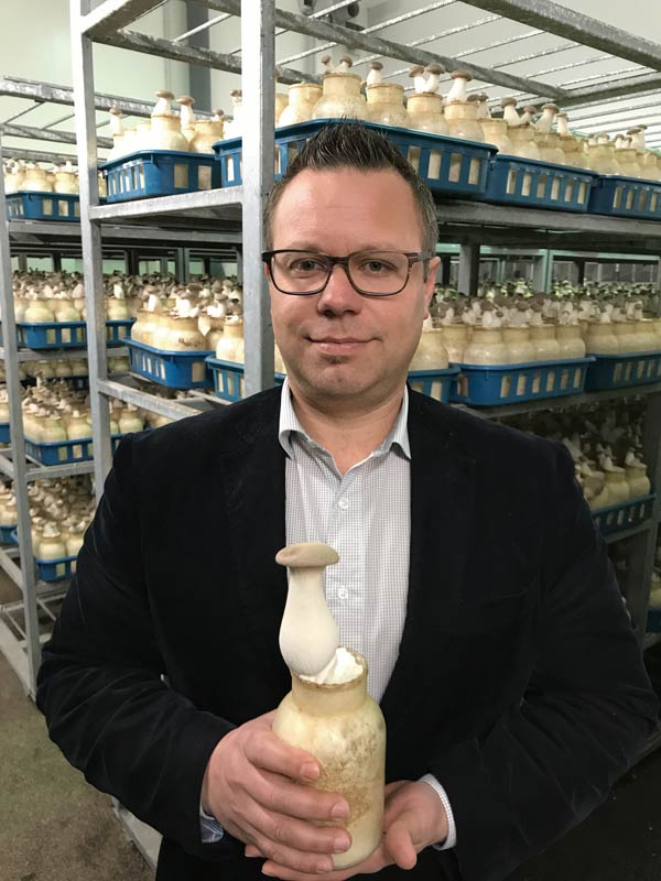 Pilze Andreas Trattnig
