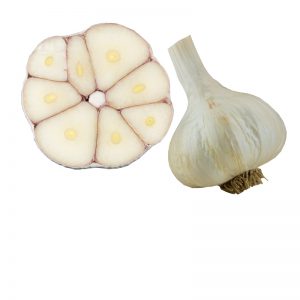 ChesnokWight_Knoblauch