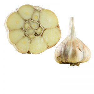IncheliumRed_Knoblauch