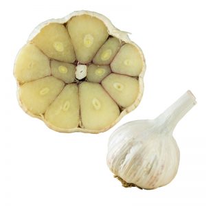WildeTaiga_knoblauch