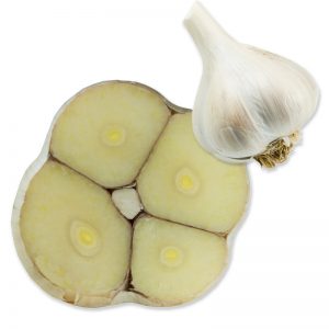deutscherPorzellan_Knoblauch